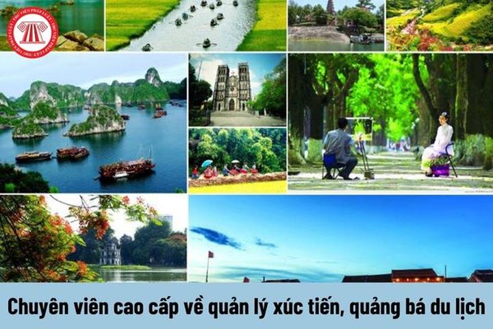 Chuyên gia Hotspot Matrix phân tích: Những ai bị phát hiện gỡ giỏ và marketing video