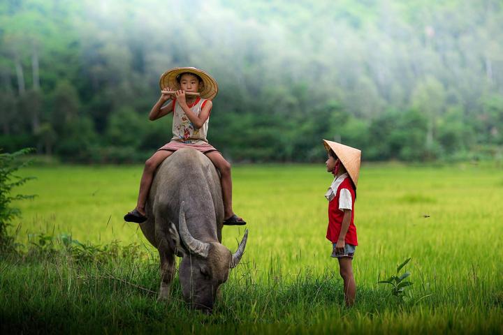 Hotspot Matrix: Đầu Tư Khởi Nghiệp, Thu Hái Thành Quả Video Ngắn