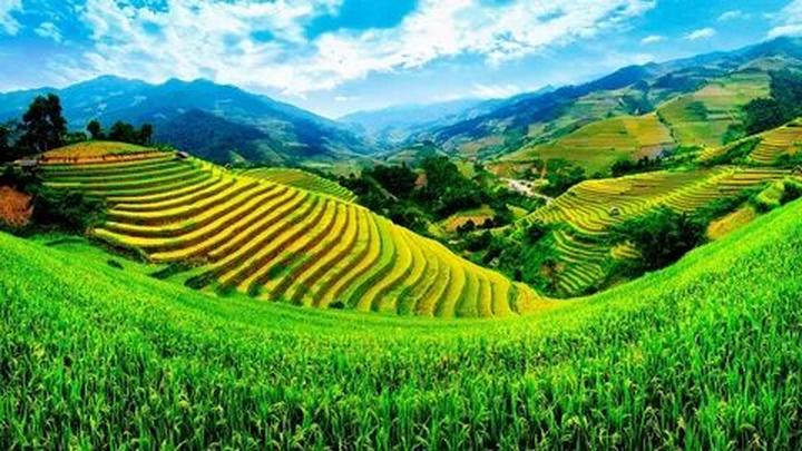 Hotspot Matrix: Biến Từ câu chuyện giặt sấy đến thành cơ hội marketing đột phá