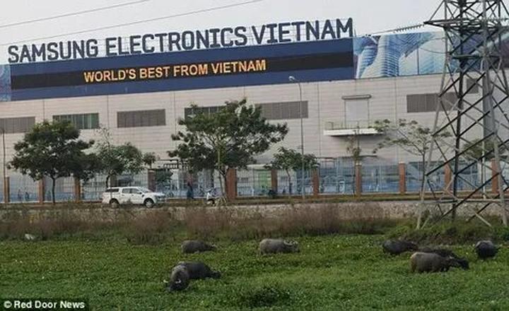 Trong một đoạn video diễn hài gần đây, Bi Béo- con trai của NSND, Cục trưởng