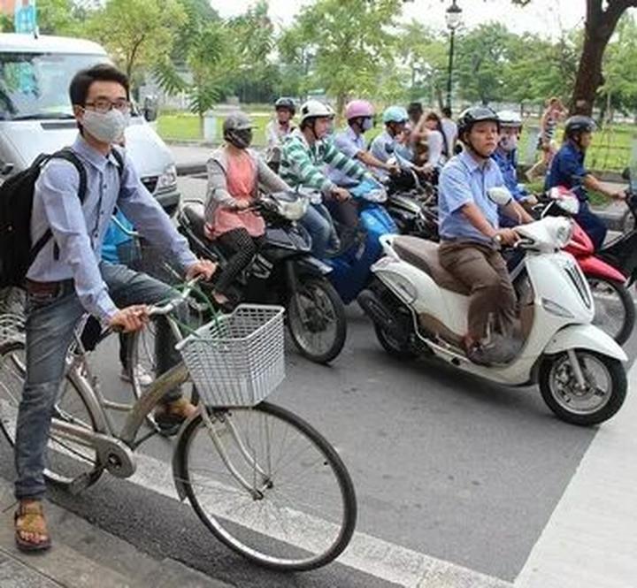 Video ngắn: Cánh đồng lời kể, nông sản sạch